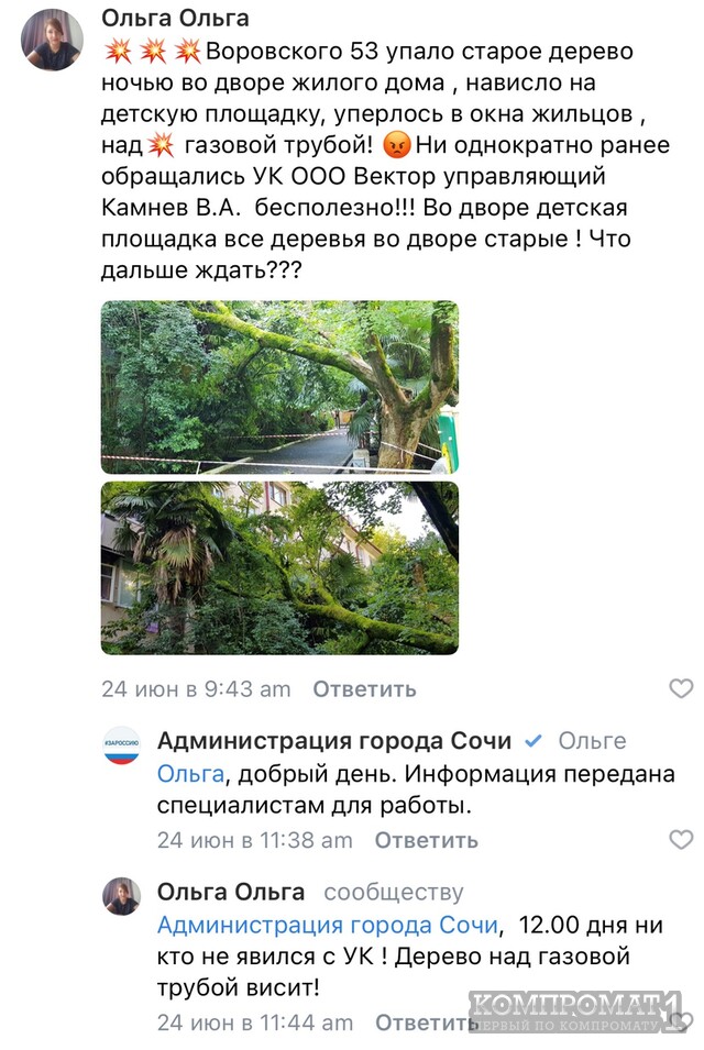 Алексей Копайгородский